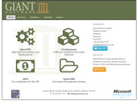 Giant Software Ltd