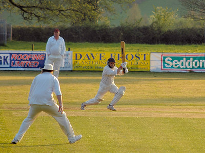Cricket at Knightshayes