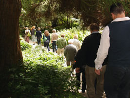 Trelissik Gardens tour Weds 11th May 2011