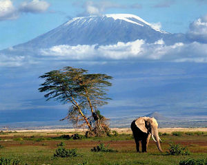 Kilimanjaro